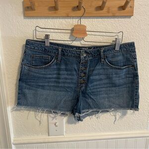 Universal Thread Dark Blue Jean Shorts